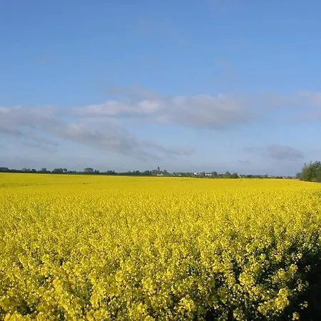 Gut-rattelvitz-parterre-a-hochwertig-sauna-kamin-etankstelle-spielscheune-15-000qm-parkland Apartament Gingst