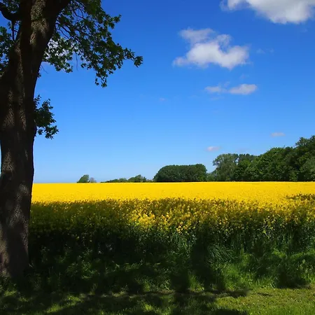 Apartament Gut-rattelvitz-parterre-a-hochwertig-sauna-kamin-etankstelle-spielscheune-15-000qm-parkland