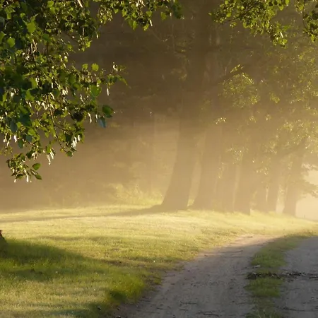 Gut-rattelvitz-parterre-a-hochwertig-sauna-kamin-etankstelle-spielscheune-15-000qm-parkland Apartament Gingst