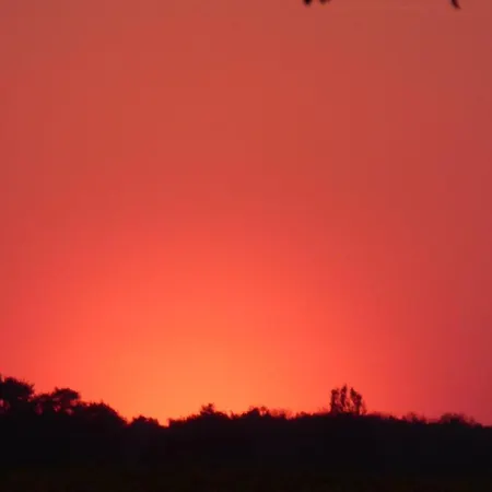 Gut-rattelvitz-parterre-a-hochwertig-sauna-kamin-etankstelle-spielscheune-15-000qm-parkland Gingst