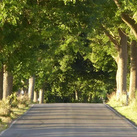 Gut-rattelvitz-parterre-a-hochwertig-sauna-kamin-etankstelle-spielscheune-15-000qm-parkland *