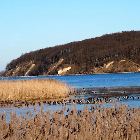 Gut-rattelvitz-parterre-a-hochwertig-sauna-kamin-etankstelle-spielscheune-15-000qm-parkland Gingst