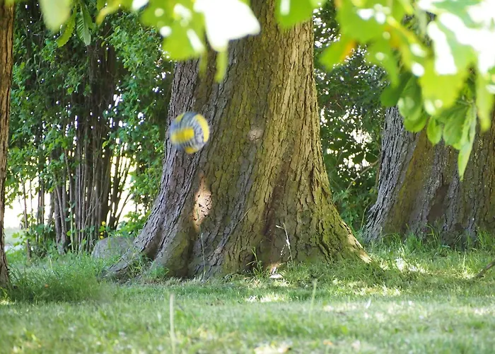 Lägenhet Gut-rattelvitz-parterre-a-hochwertig-sauna-kamin-etankstelle-spielscheune-15-000qm-parkland Gingst