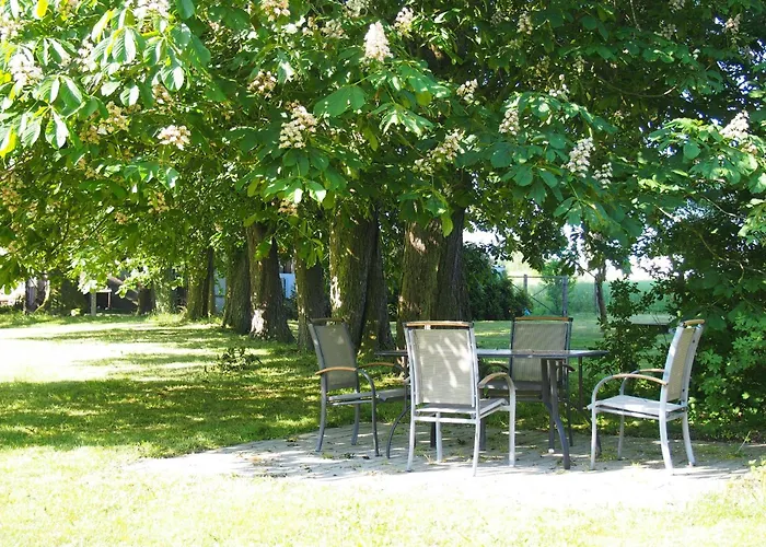 Gut-rattelvitz-parterre-a-hochwertig-sauna-kamin-etankstelle-spielscheune-15-000qm-parkland * Gingst